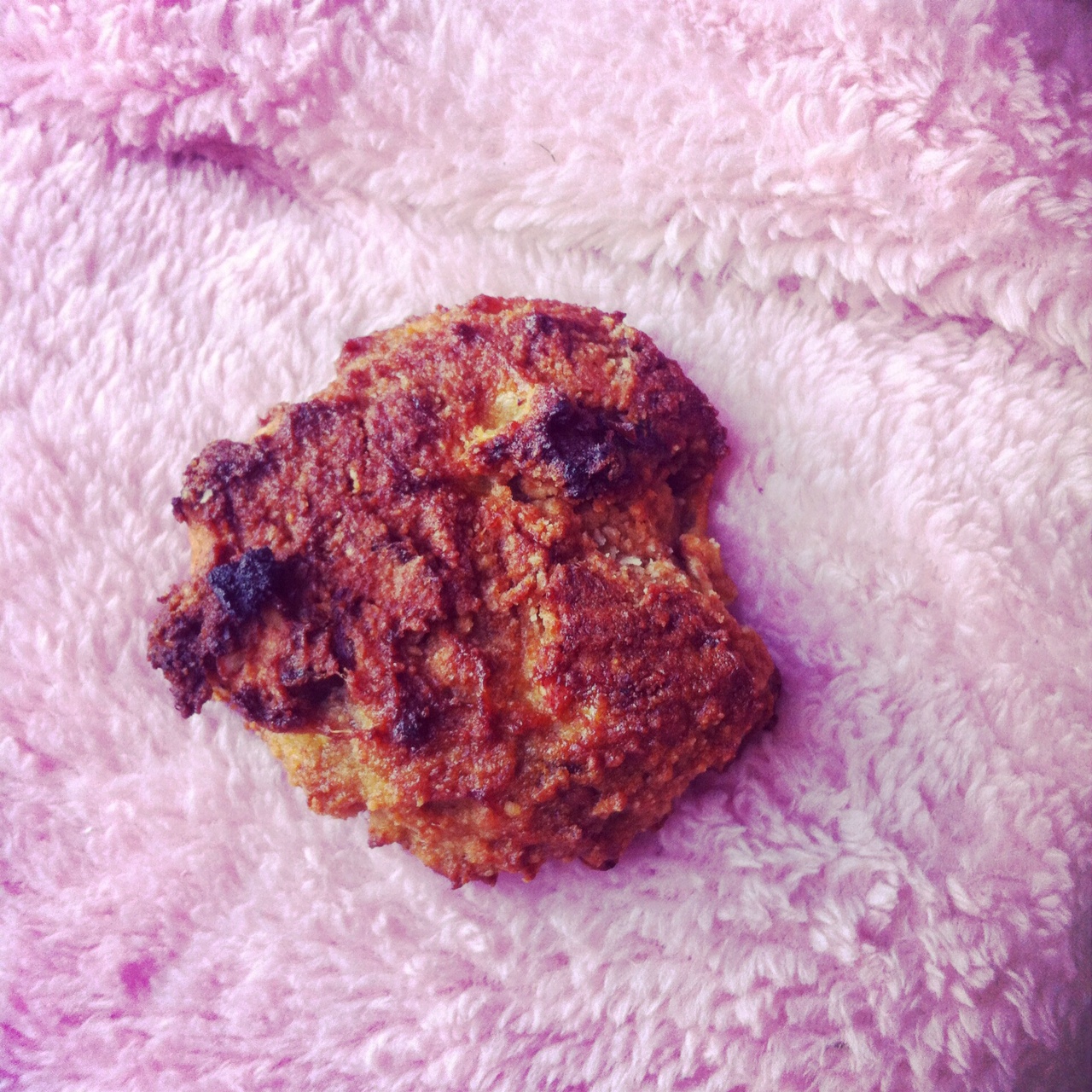 koekjes