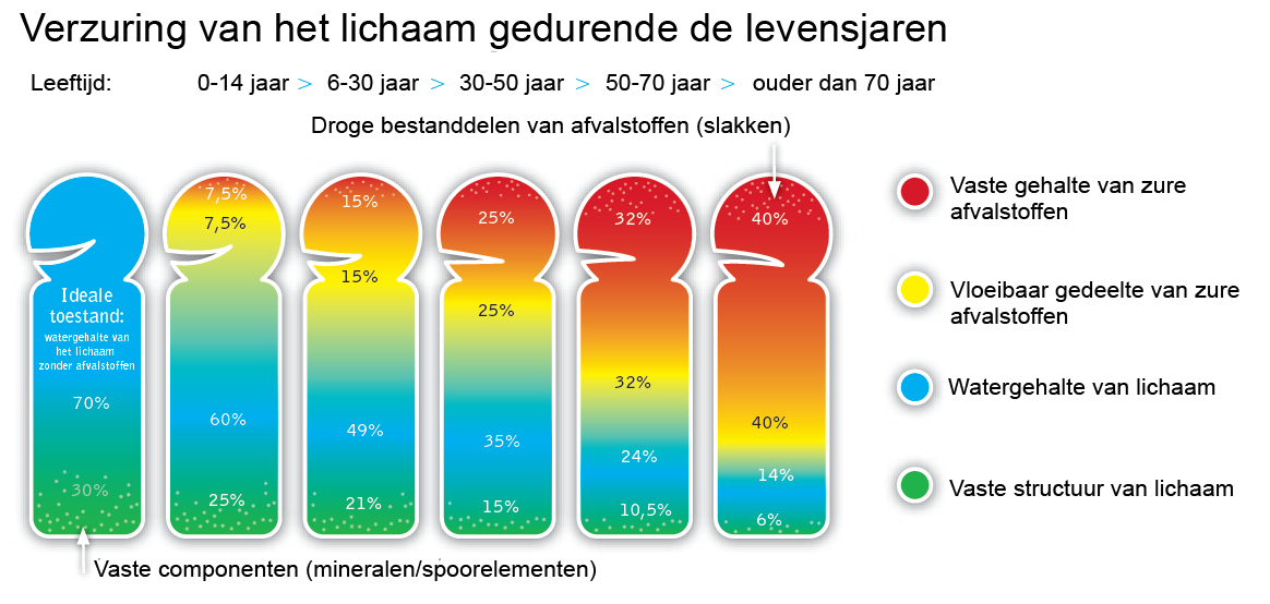 Verzuring-van-het-lichaam-in-de-tijd