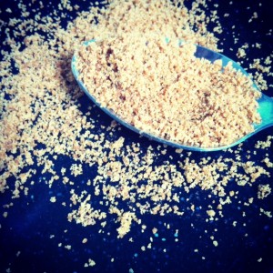 kokosbloesemsuiker-gula-java